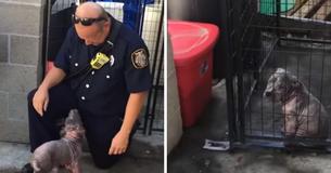 Ein einsamer Hund weinte im Tierheim, bis ein Feuerwehrmann vorbeikam, um ihn zu retten