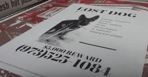 New Jersey Pizzeria Adds Lost Pet Flyers To 500 Pizza Boxes, Now Other Shops Are Doing It As Well