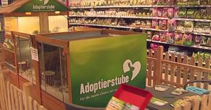 "Adoptierstuben": Bei Fressnapf werden nun Tierheim-Tiere vermittelt