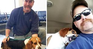 Dog Can’t Disguise His Gratitude After Man Rescued Him From Getting Euthanized In A Shelter