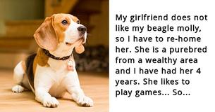 Une femme dit à son petit ami que soit le chien s'en va, soit elle le fait. L'homme sait exactement ce qu'il a à faire