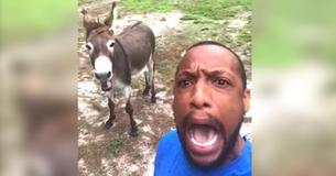 Donkey Joins Man For Hysterically Funny Rendition Of 'Lion King' Song