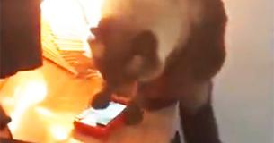 Confused Woman Keeps Sleeping Through Her Alarm Before Seeing Cat Turning It Off