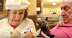 Senior Patients Care For Kittens — Helping Their Memories To Come Back
