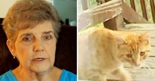 79-Yr-Old Lady Gets Jail Sentance For Feeding Stray Cats: "I'm Lonely, The Kitties Outside Help Me"