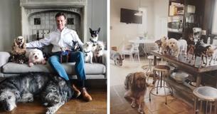 Grieving Man Adopts All The Overlooked Senior Animals From Local Shelter