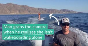Woman Wakeboards, Then They Notice Dozens Of Dolphins Swimming Next To Her In The Water