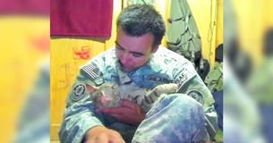 Soldier in Afghanistan Goes To Extraordinary Lengths To Take Stray Kitty Home With Him