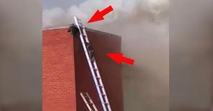 Firefighters Set Up Ladders To Rescue Raccoons From Fire