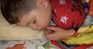 Young Boy Accidentally Kills His Pet Goldfish By Snuggling It