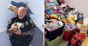 Smart-Thinking Police Department Allows Parking Tickets To Be Paid With Cat Food And Supplies