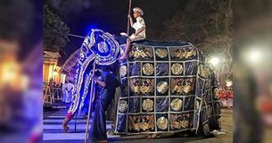 Famished-Looking 70-Year-Old Elephant's Bony Body Is Hidden By Festival Costume