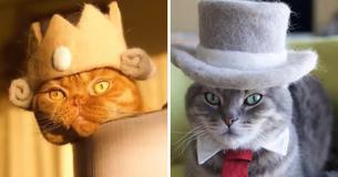 Two Artists Create Stunning Hats For Their Cats Made From Shedded Hair