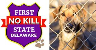 Delaware Is Now The Nation’s First 'No-Kill' State For Animal Shelters