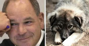 Ohio-Richter kann Tiermisshandler nicht ausstehen, beschließt, ihnen eine Dosis ihrer eigenen Medizin zu geben