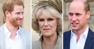 Hay algo que a los príncipes Guillermo y Harry les gusta de su madrastra Camilla Parker Bowles