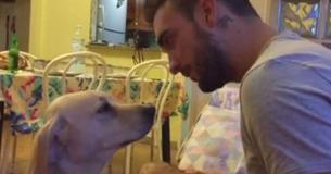 Der Mann schreit den schuldigen Hund an, macht sich aber schnell fast beim Lachen über die Entschuldigung des Welpen, die von der Kamera erfasst wird, in die Hose