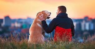 Owners Who Talk To Their Pets Are The Subject Of Recent Scientific Studies