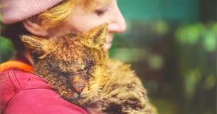 Vrouw knuffelt kat die niemand wilde aanraken, de kitten vond het heerlijk en bedankte haar met de schattigste miauw