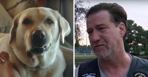 Veteran Was Taken To Hospital After Car Crash, So His Neighbor Gave His Dog To A Stranger