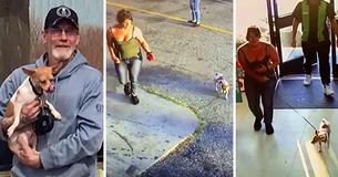 Des étrangers se précipitent pour aider un homme effondré dans la rue pendant qu'une femme s'enfuit avec son chiot