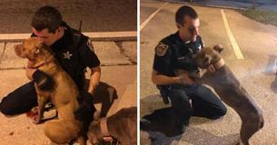 Officers Respond To Call About Injured Dogs - Won't Leave Until They're Safe