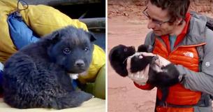 Adventurers Save Puppy Abandoned In The Desert And Let Him Join On Their Road Trip