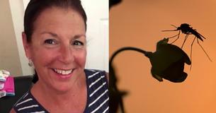 A Mother From Massachusetts Has Passed Away From A Mosquito Bite