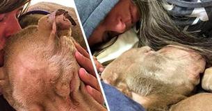 Vrouw brengt hele nacht door in een asiel en knuffelt met hond, zodat hij niet alleen hoeft te sterven