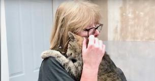 Cat Who Ran Away From Home In 2008 Finally Reunites With Owner After 11 Years Of Being A Stray