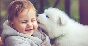 Some Mothers And Dog Trainers Have Objections To The Term "Furbabies"