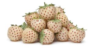 Une fraise qui a le goût d'un ananas existe vraiment et on l'appelle fraise blanche