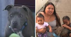 Un pitbull traîne un bébé par sa couche-culotte de la maison en flammes au soulagement d'une famille entière