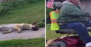 Man Got Recorded Dragging His Dog With His Scooter, Is Now Facing Justice