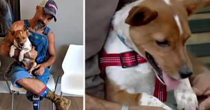 Veteran Who Lost His Leg In Iraq Takes In 3-Legged Puppy: ‘It’s Impossible To Not Smile Around Him’