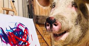 Pig Named Pigcasso Paints $1,600 Artworks After Being Rescued From A Slaughterhouse