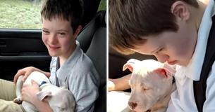 Une famille offre une récompense de 500 $ aux personnes qui pourront leur rendre le chien de soutien de leur enfant atteint de trisomie 