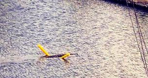 A Crocodile Was Seen Using a Pool Noodle to Swim Down A Canal In Florida