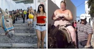 Griechische Insel verbiete "übergewichtigen" Touristen auf Eseln zu reiten