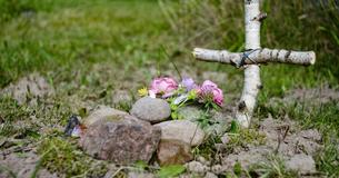 Des études suggèrent que la perte d'un animal peut déclencher les mêmes émotions que lors du deuil d'un membre de la famille