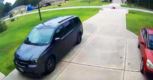Courageous Teen Rescues 6-Year-Old Boy Attacked By Dog