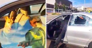 Police Officers Had To Smash Window To Save Dog In Hot Car, Now Owners Are Mad At Cops