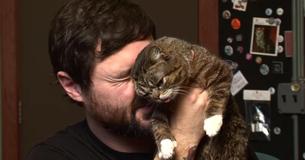 Toen de dierenarts Lil' Bub voor het eerst zag, zei ze dat het "de vreemdste kat was die ik ooit gezien heb" vanwege haar uiterlijk