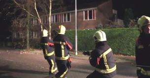 Firefighters Pulling Down A Tree Can't Help But Laugh When Dog Stops To Help