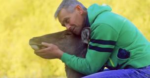 Hunter's Heart Thaws When He Comes Across An Injured Fawn, Puts Down His Gun For Good