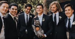 Groom Appointed His Precious Cat As Best Man At His Wedding