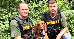 Bloodhounds Find Missing 3-Year-Old Boy With Autism In Less Than 30 Minutes
