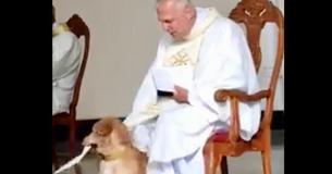 Speelse hond rent kerkdienst binnen en Braziliaanse priester heeft een prachtige reactie