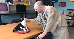 Prison Takes In Shelter Cats To Rescue Them, But The Cats End Up Rescuing The Inmates Too