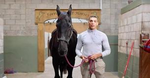 Former Cavalryman Adopts Retired Service Horse Who Helped Him Conquer Loneliness, Says "Today I Pay Him Back"